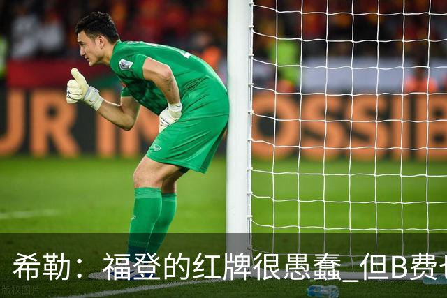 希勒：福登的红牌很愚蠢 但B费也应该被红牌罚下，如果罚就都得罚